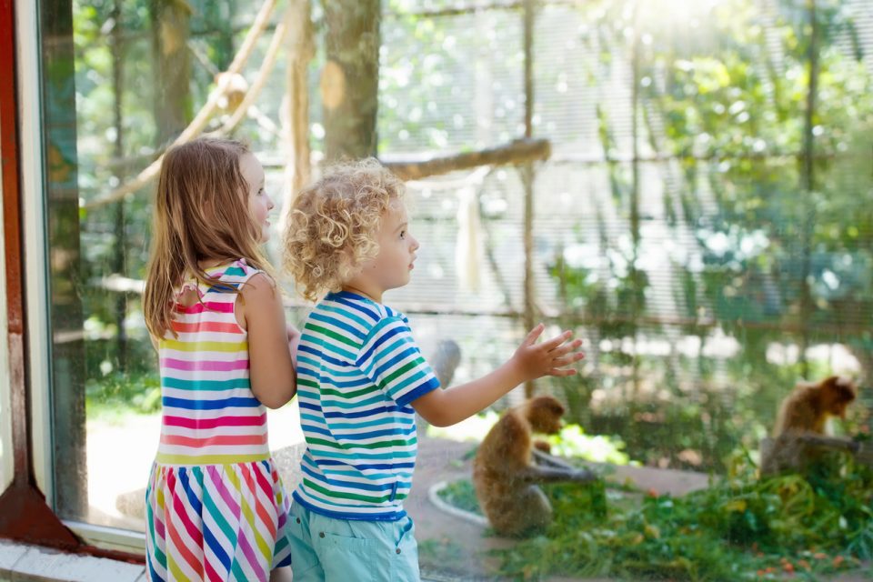 Duke Lemur Center