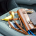 Don’t Leave These Items In Your Car