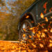 Keep Your Honda Running Efficiently This Fall