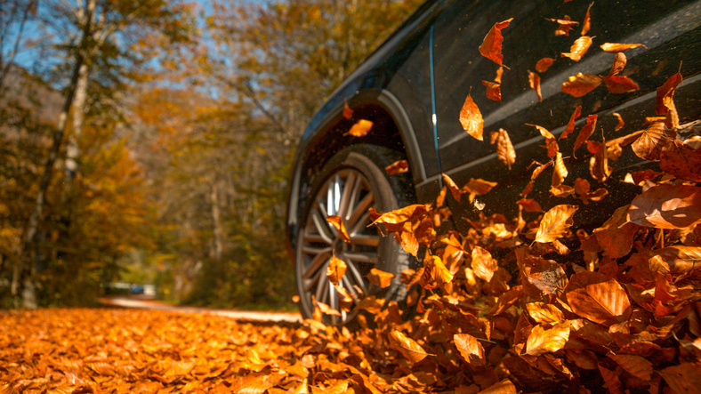 Keep Your Honda Running Efficiently This Fall