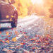 Discovering North Carolina’s Fall Foliage in Your Honda CR-V
