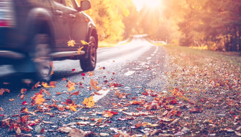 Fall Foliage in Your Honda CR-V