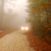 Navigating Autumn with Honda’s Visibility Features