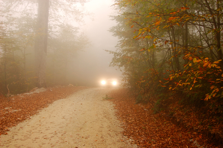 Honda's Visibility Features